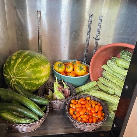 Eco Glamping With Pool Between Nafplio And อาร์กอส ภายนอก รูปภาพ