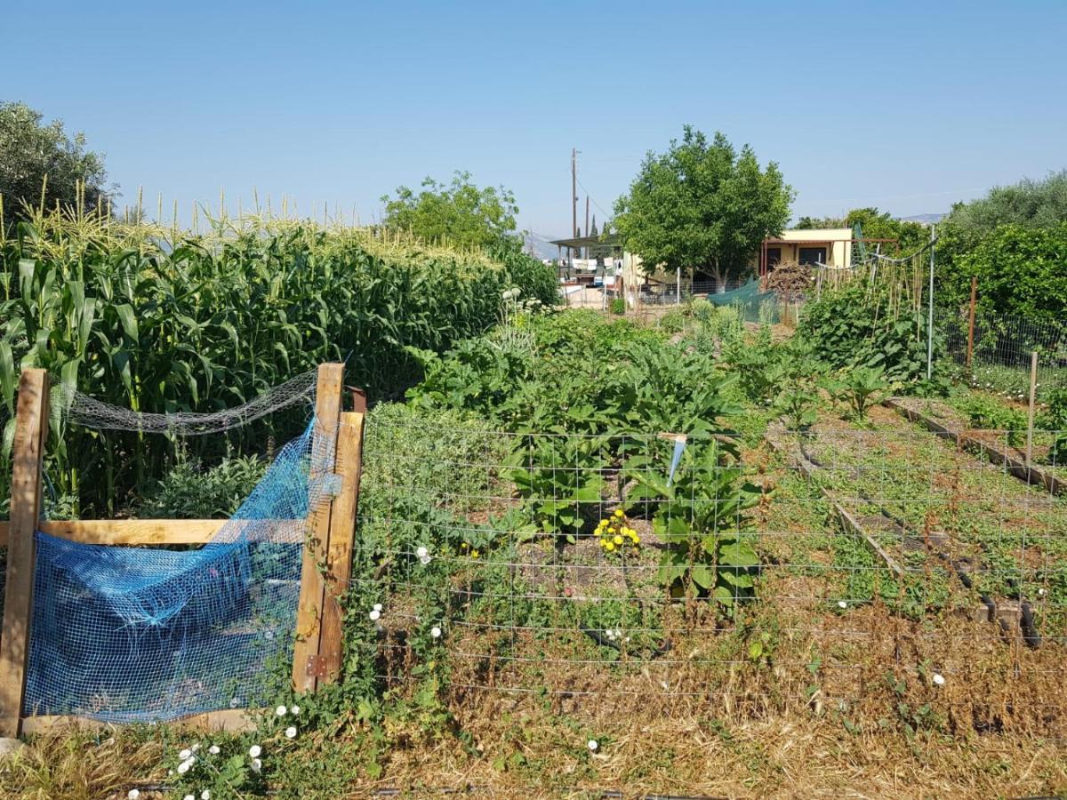 Eco Glamping With Pool Between Nafplio And อาร์กอส ภายนอก รูปภาพ