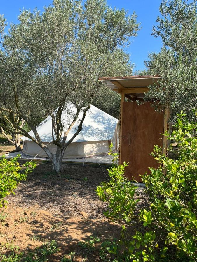 Eco Glamping With Pool Between Nafplio And อาร์กอส ภายนอก รูปภาพ