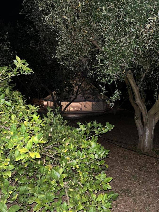 Eco Glamping With Pool Between Nafplio And อาร์กอส ภายนอก รูปภาพ